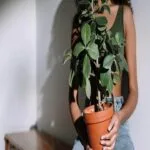 Can plant care teach us self-care? Lessons in Growth and Wellness Can plant care teach us self-care