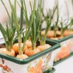 How to Grow Green Onions Like a Pro : Perfect Guide images_20_720x900