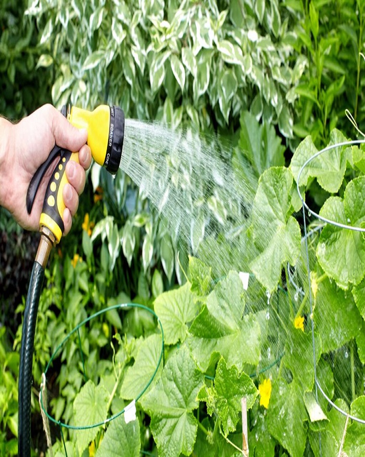 How to water your garden