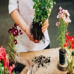 Transform Your Space with a Plant Consultant: Expert Tips for Thriving Greenery Plant Consultant