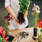 Transform Your Space with a Plant Consultant: Expert Tips for Thriving Greenery Plant Consultant