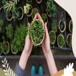 Keeping Plants Alive for Dummies: Your Ultimate Beginner's Guide to Green Thumbs! Keeping Plants Alive for Dummies