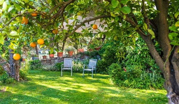 Garden Trends