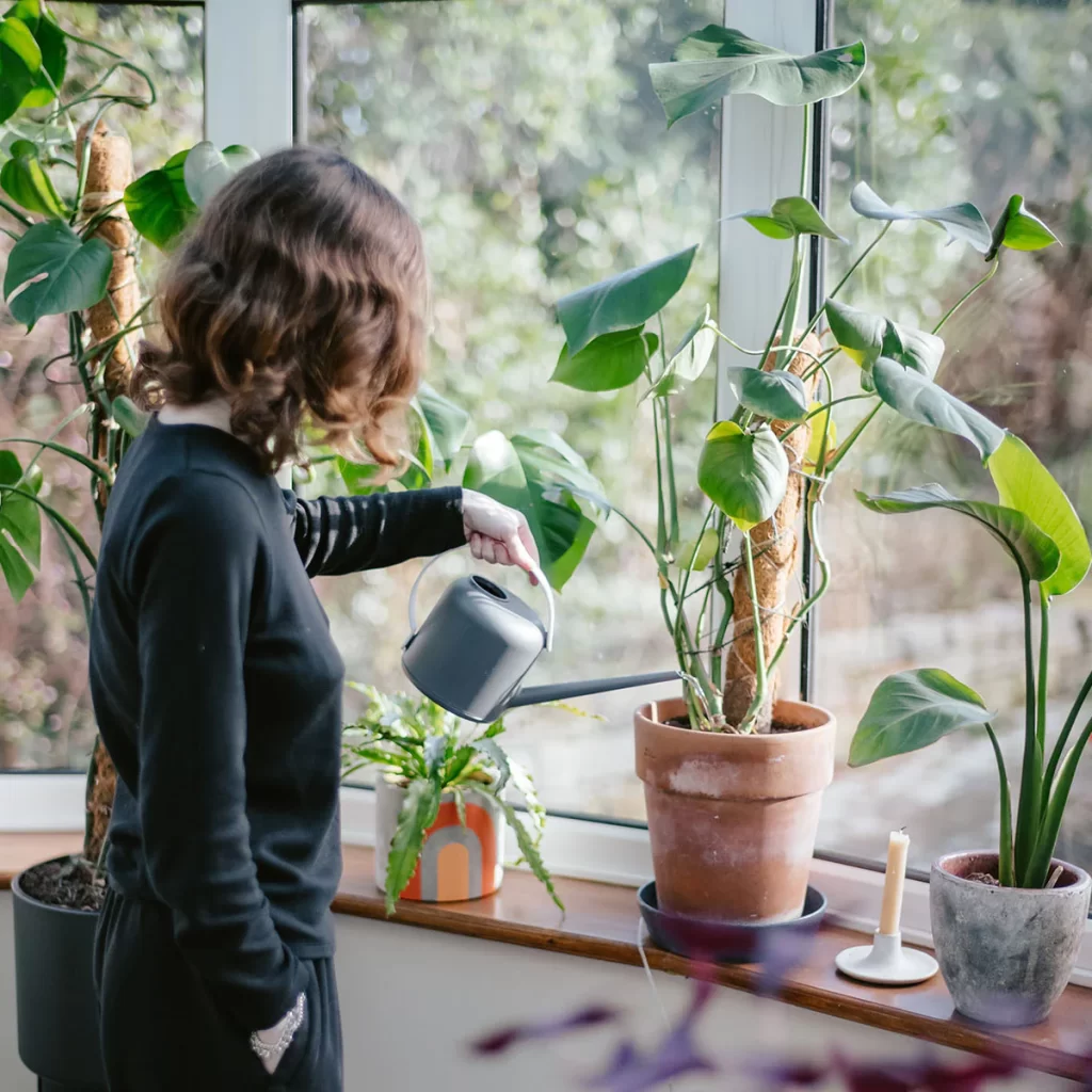 Overwatering from Underwatering 