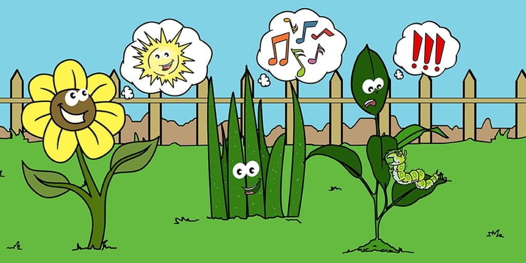 Talking to Plants and Vibrations