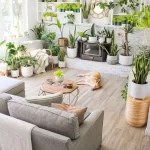 A Plant for Any Room: How to Instantly Elevate Your Space A Plant for Any Room